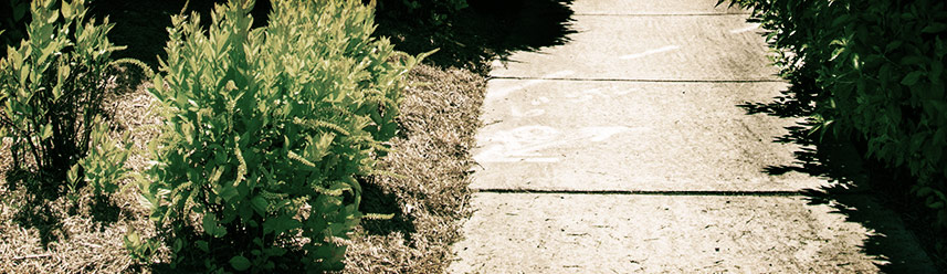 ddos攻击ip软件下载